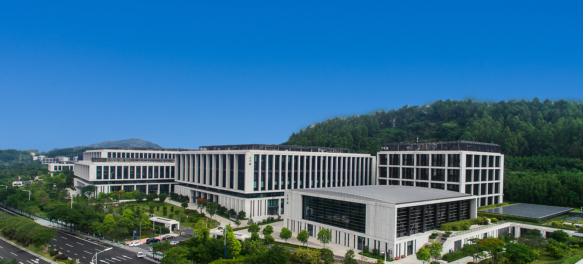 Stake(中国区)官方网站